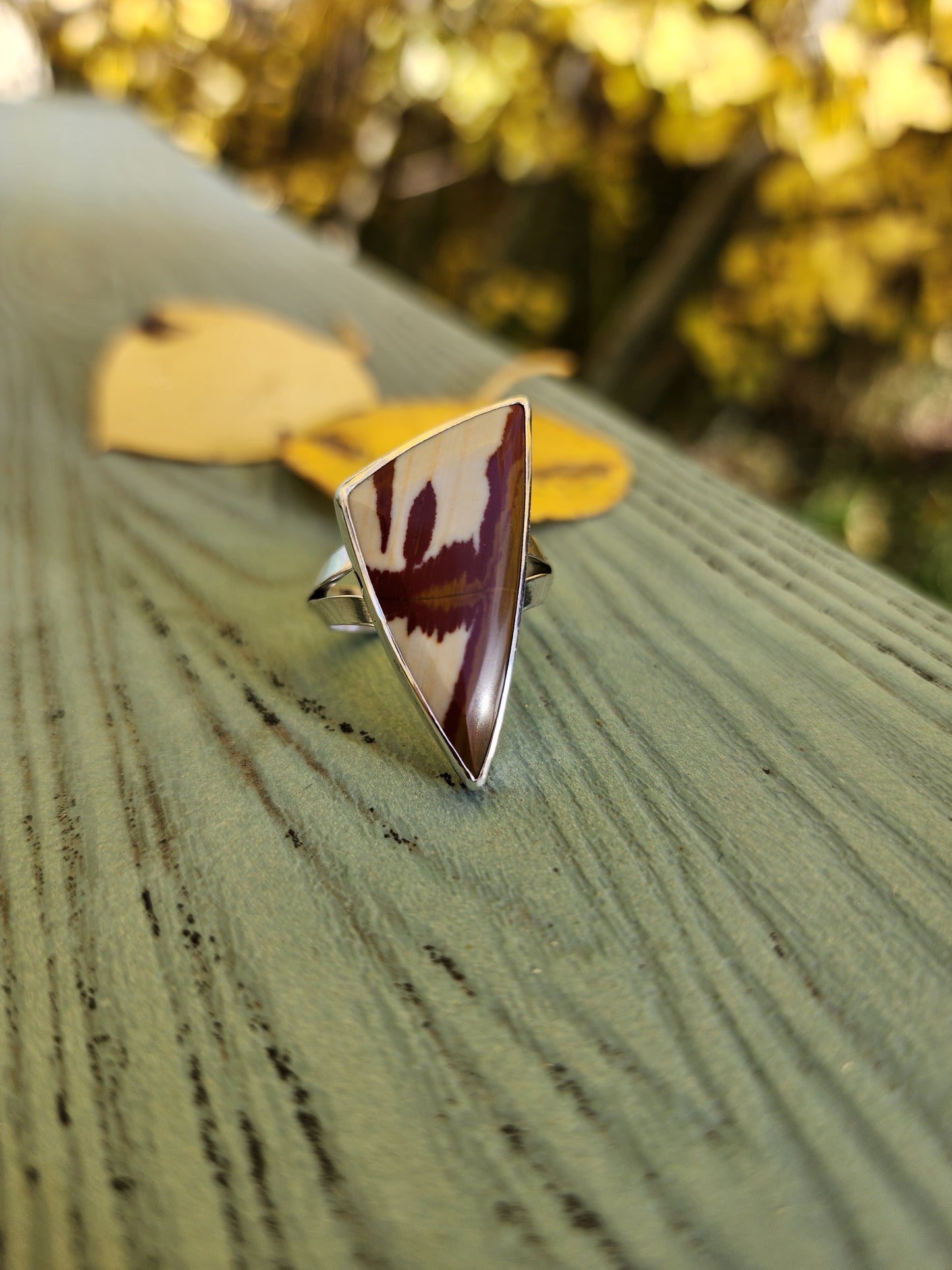 Owyhee Picture Jasper |size 8.5 |
