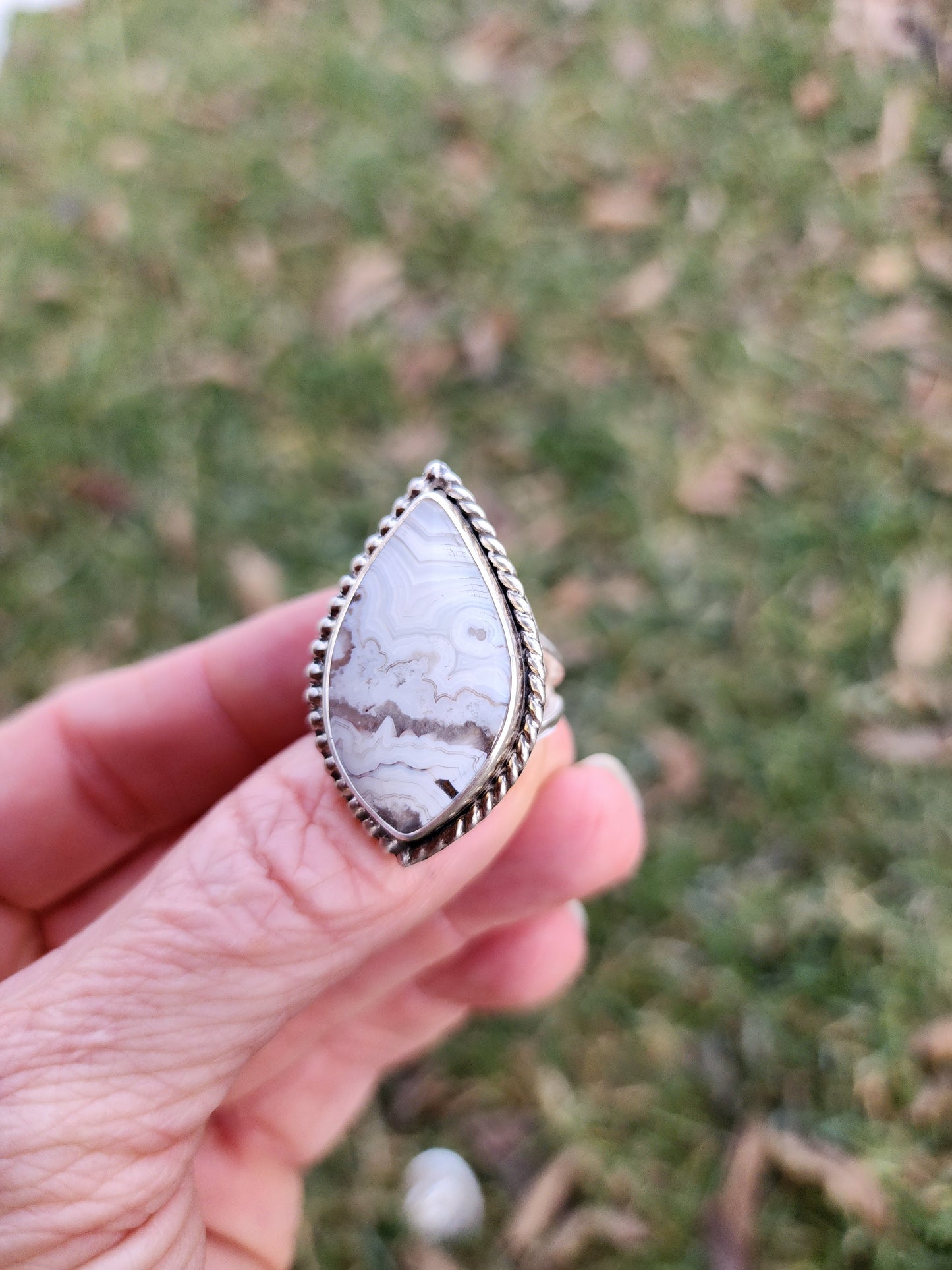 Crazy Lace |size 7|