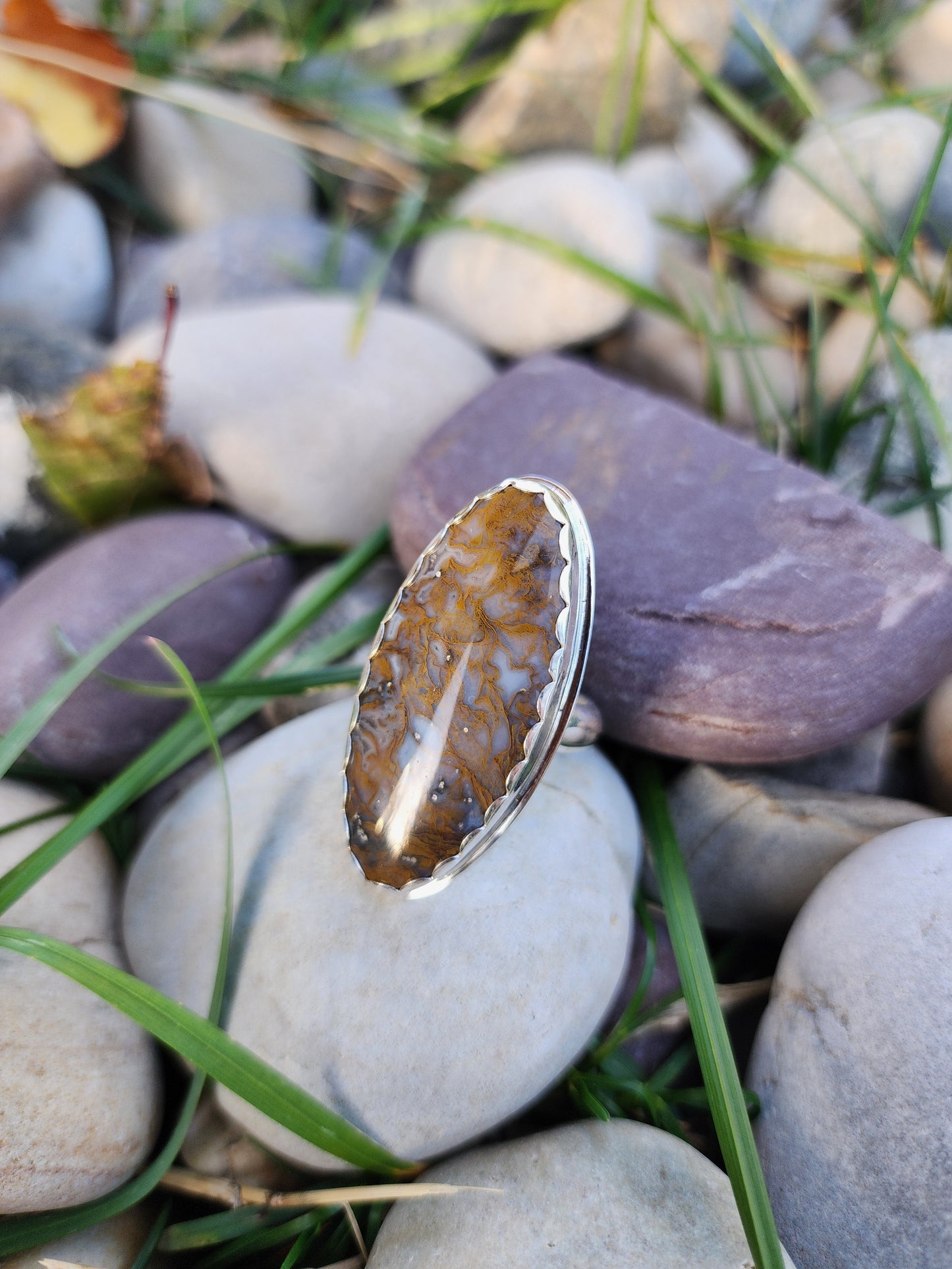 Mexican Moss |size 8.5|