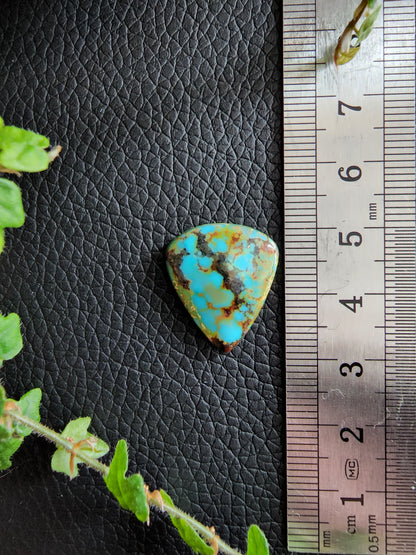 Kingman polychrome turquoise