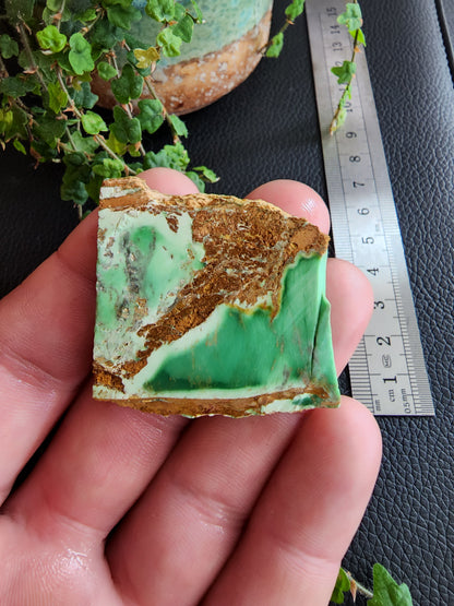 Australian variscite rough slab