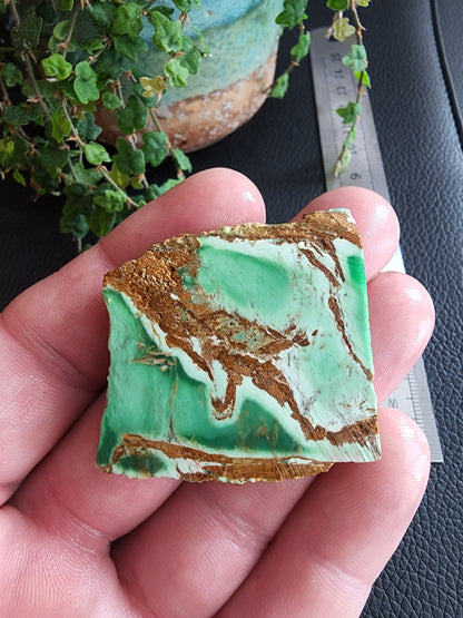 Australian variscite rough slab