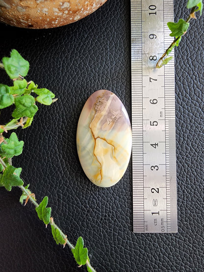 Willow creek jasper cabochon