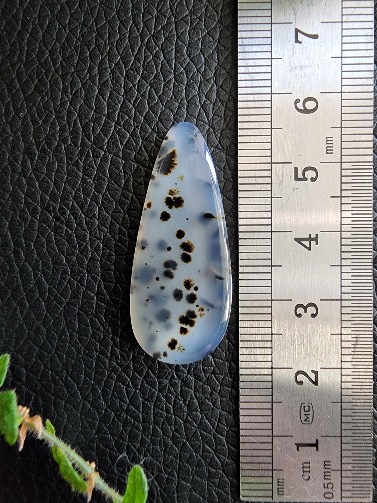 Montana moss agate cabochon