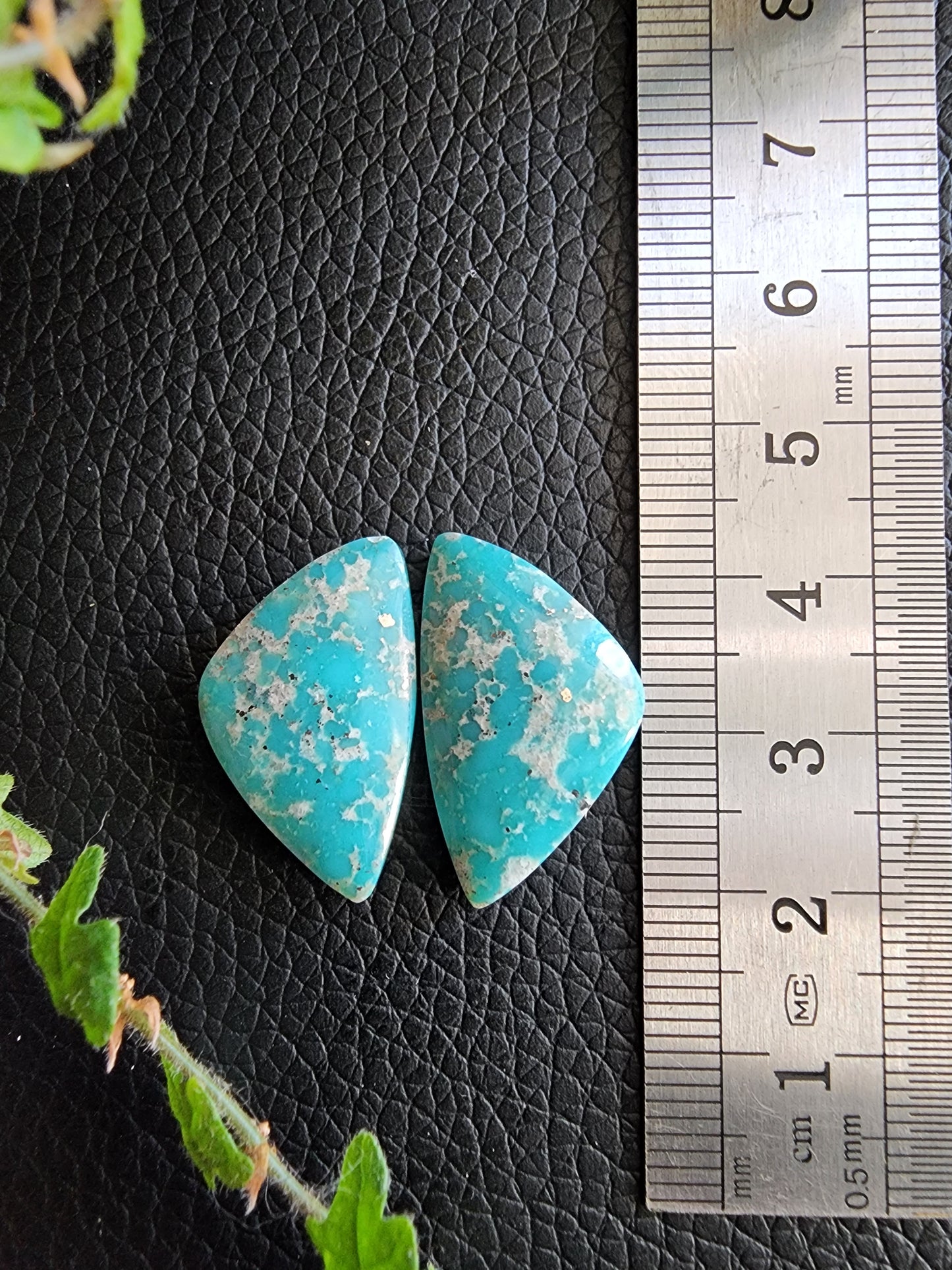 Campitos turquoise pair