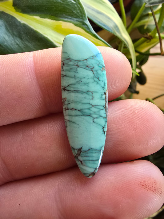 Broken Arrow Variscite