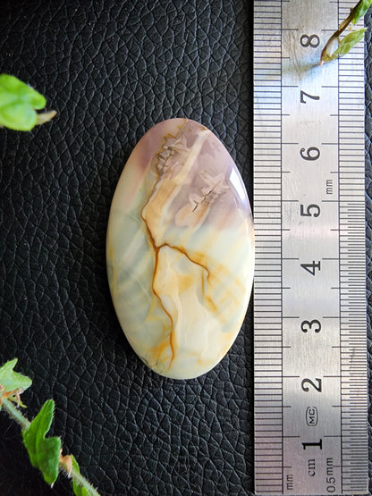 Willow creek jasper cabochon