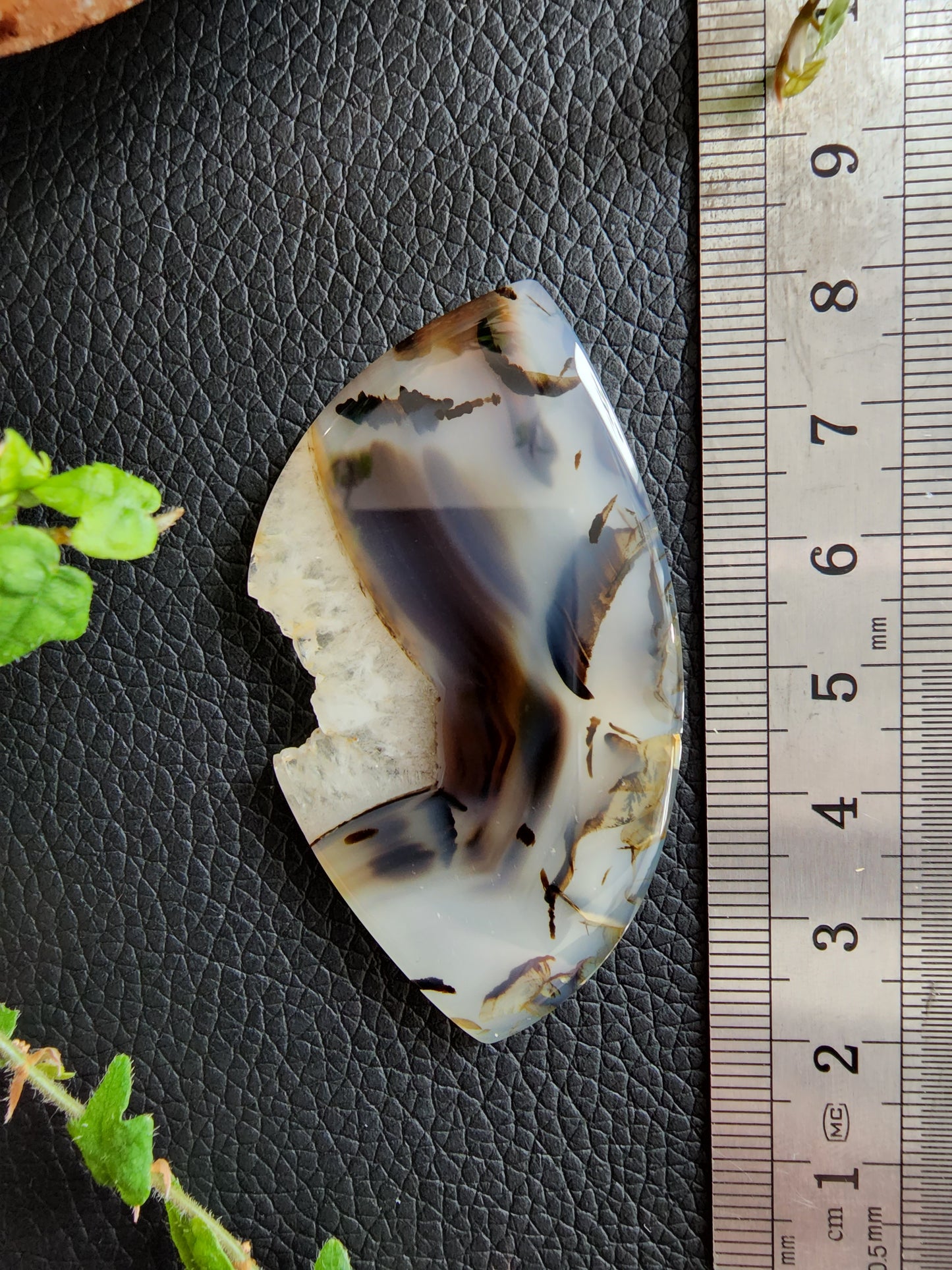 Montana moss agate