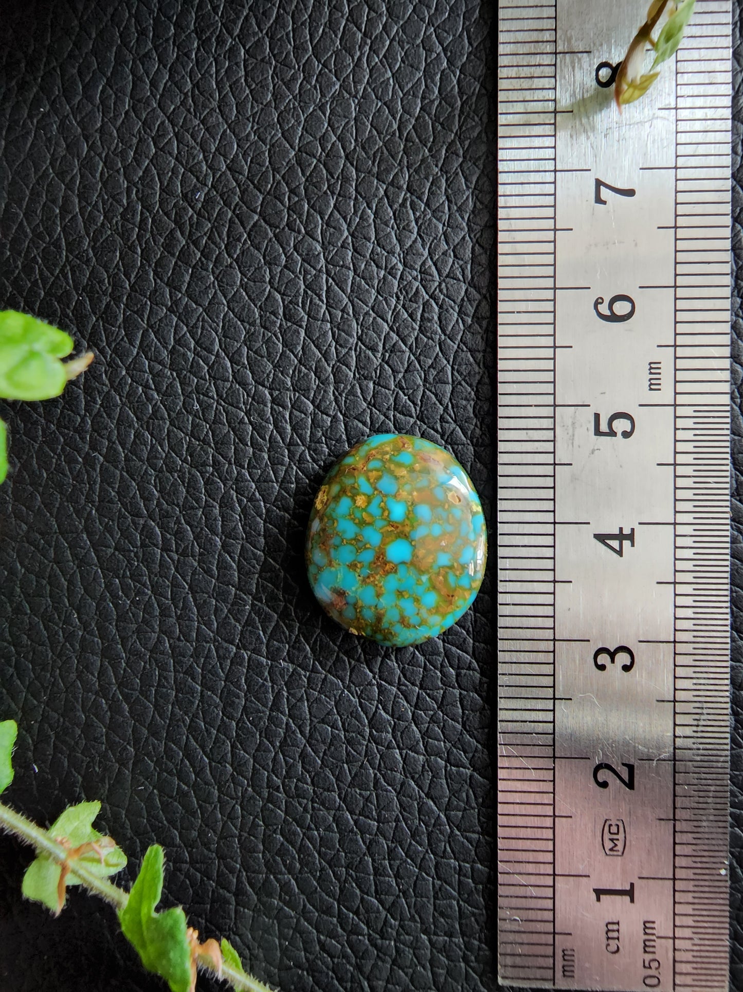 Kingman polychrome turquoise