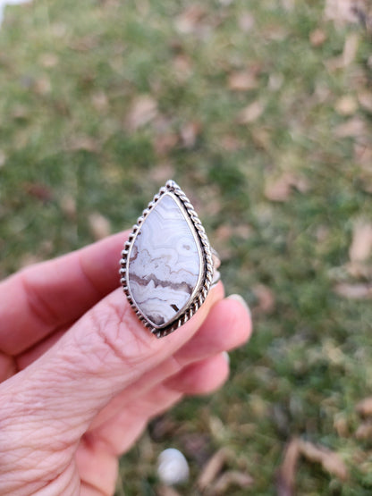 Crazy Lace |size 7|
