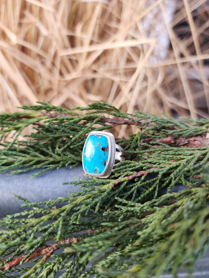 Campitos |size 5|