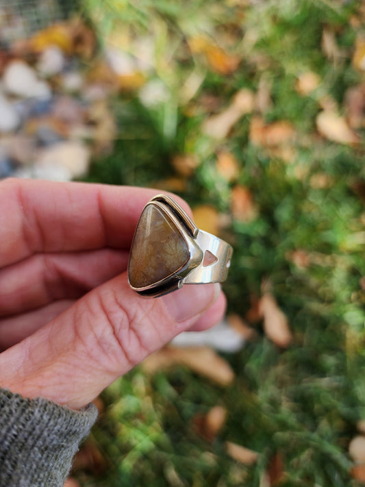 Fossil Coral |size 8|