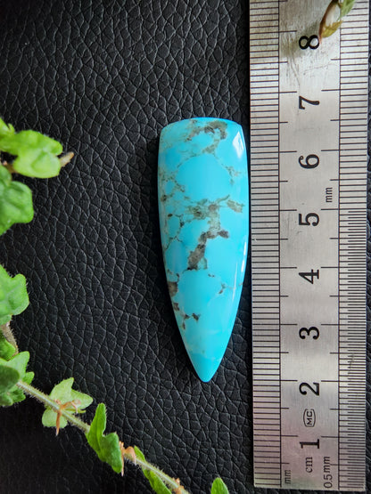 Kingman turquoise