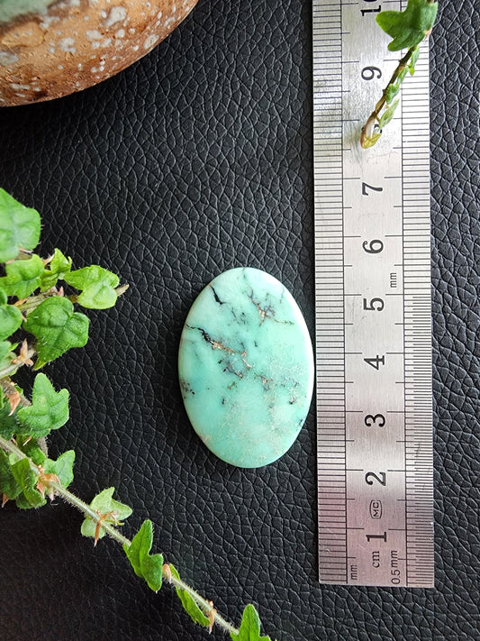 Angel wing variscite